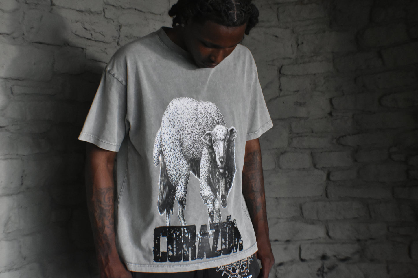 Wolf in Sheep Clothing Shirt