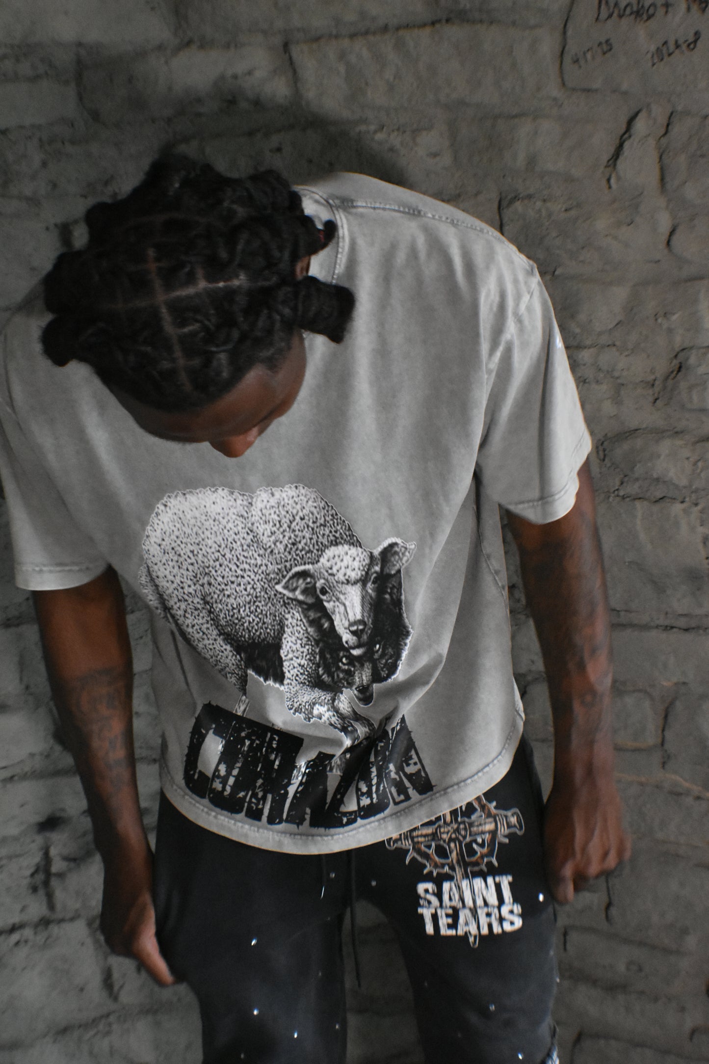 Wolf in Sheep Clothing Shirt