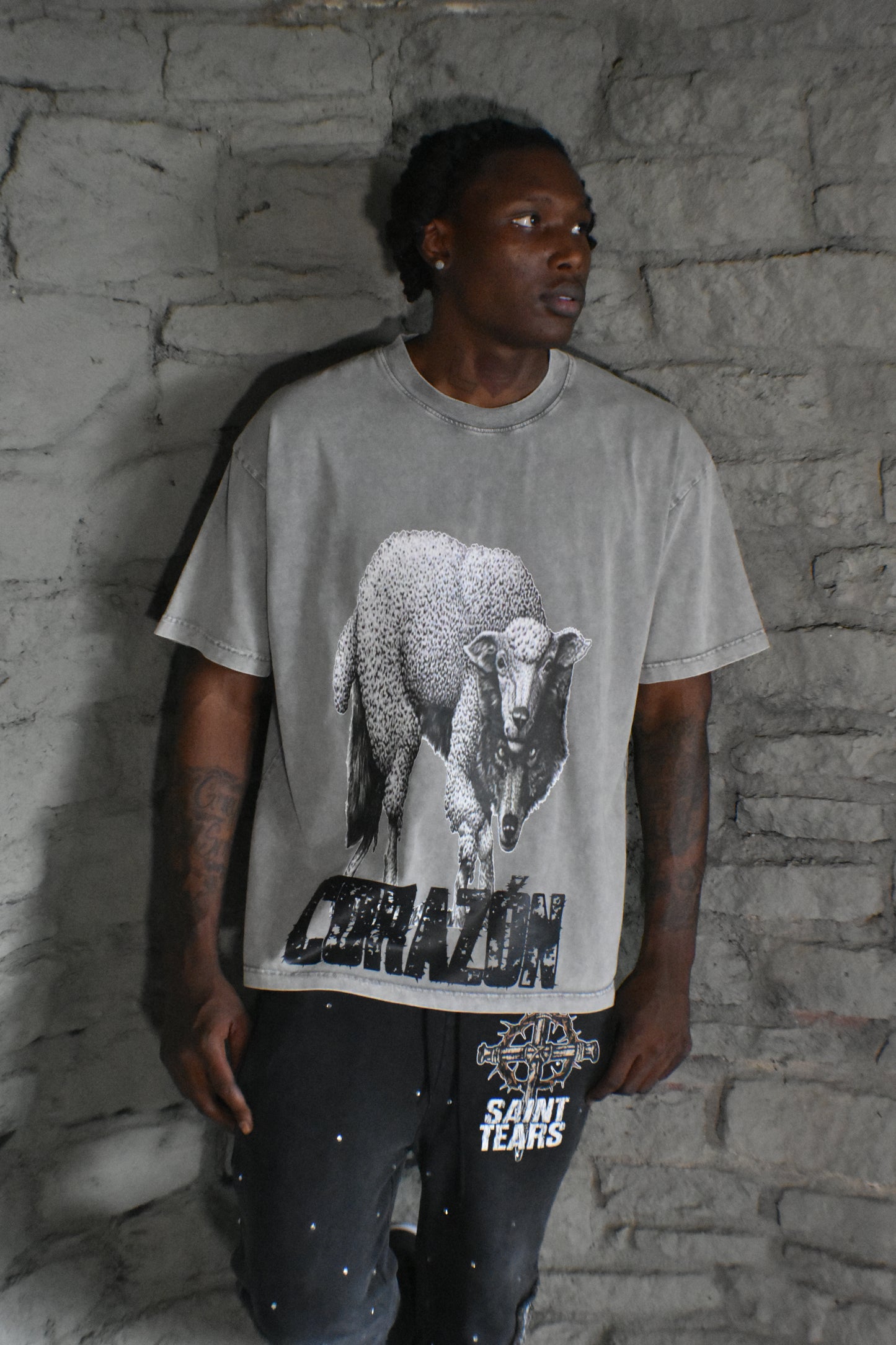 Wolf in Sheep Clothing Shirt