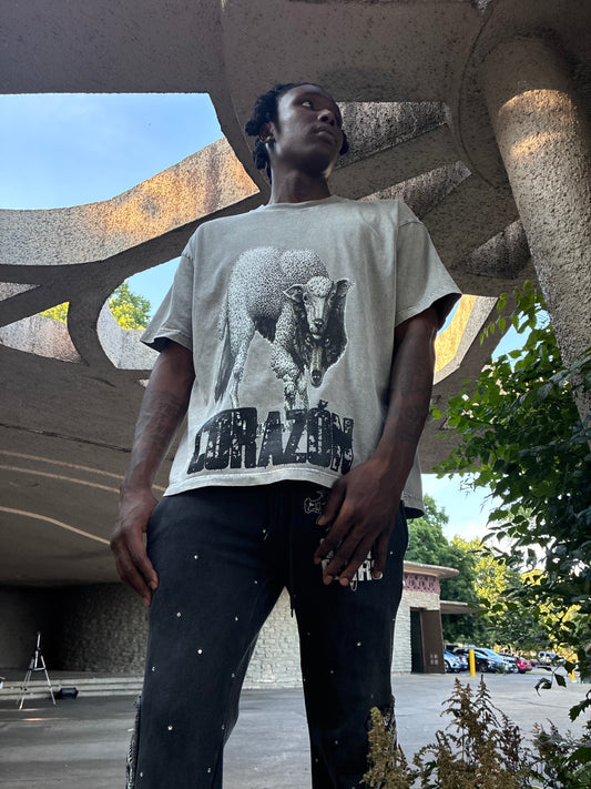 Wolf in Sheep Clothing Shirt