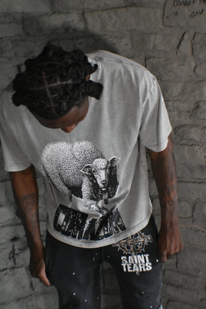 Wolf in Sheep Clothing Shirt