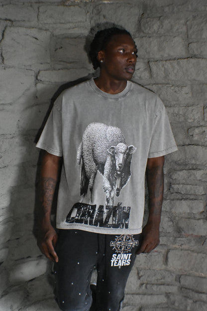 Wolf in Sheep Clothing Shirt