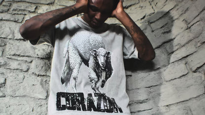 Wolf in Sheep Clothing Shirt